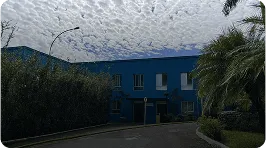 Serviço de Assistência Judiciária (SAJ)